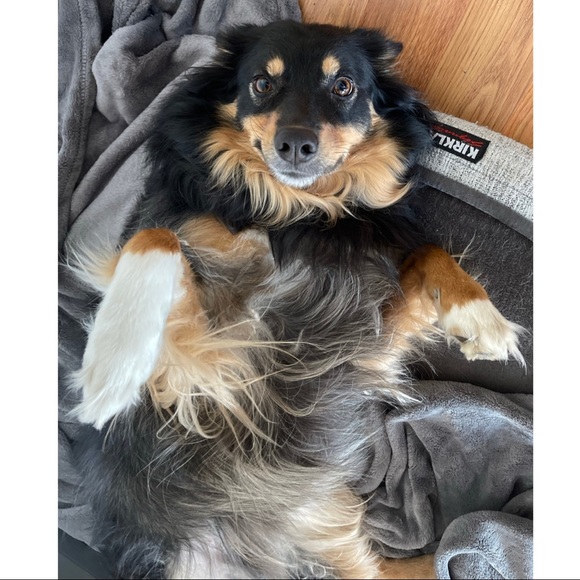 ⓓ ⓞ ⓖ ⓖ ⓞ ⓕ ⓡ ⓘ ⓔ ⓝ ⓓ ⓛ ⓨ - Picture 3 of 5